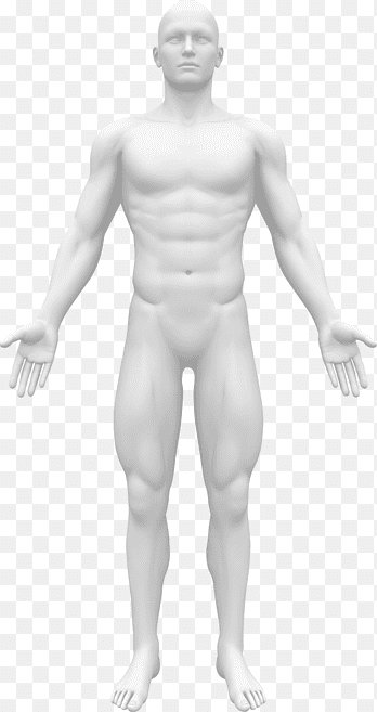 Οδηγός μετρήσεων σώματος VKDIET